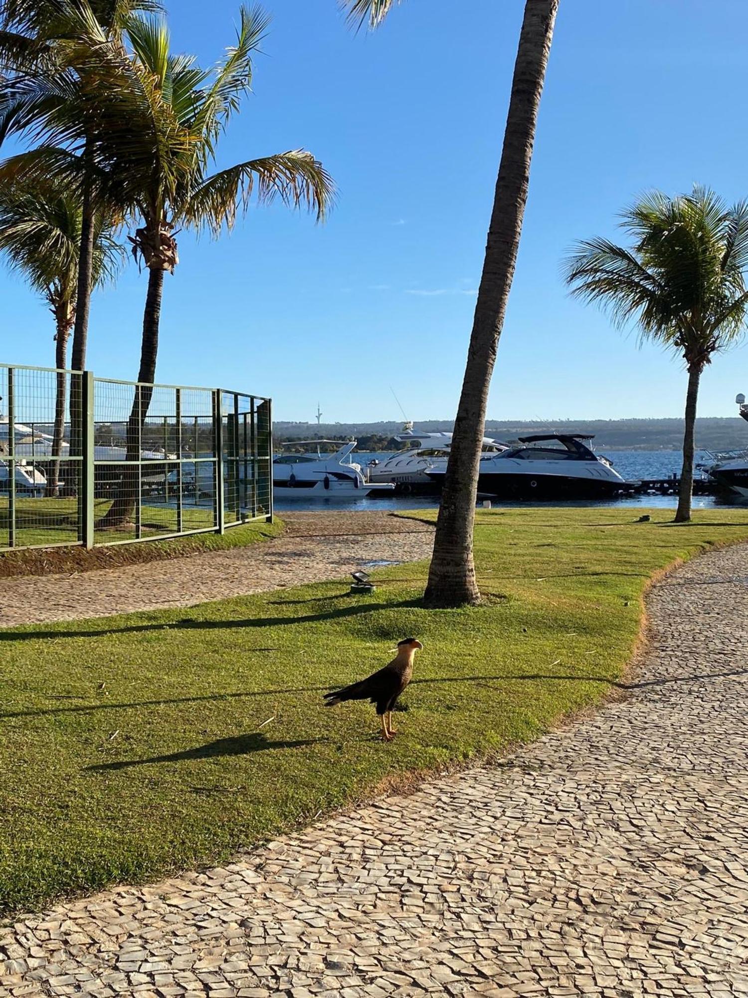 Flat Beira Lago No Centro De Bsb Brasília Exteriér fotografie